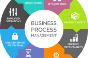 Business Process Management – An Approach to Deploy the Web-Based Software